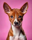 Basenji puppy dog portrait illustration