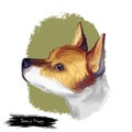 Basenji puppy dog breed digital art illustration isolated on white. Popular pup portrait with text. Cute pet hand drawn