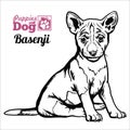 Basenji puppy sitting. Drawing by hand, sketch. Engraving style, black and white vector image.