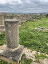 The bases of columns at the Forum of Lixus