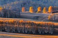 Bashang grassland in the autumn Royalty Free Stock Photo