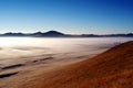 Bashang grassland in autumn, morning mist