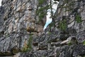 Hard rocks of the Inzer mountain ridge Royalty Free Stock Photo