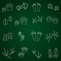 Basic animal footprints outline icons set