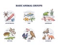 Basic animal groups and biological nature categories division outline diagram Royalty Free Stock Photo