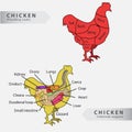 Basic chicken internal organs and cuts chart Royalty Free Stock Photo