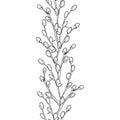 Vector vertical seamless pattern with outline blossoming Willow twigs in black on the white background. Branch with pussy-willow.