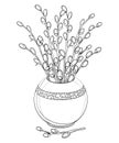 Vector bouquet with outline Willow twigs in round vase in black isolated on white background. Branch with blooming Willow.