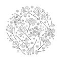 Vector round bouquet of outline Gypsophila or Baby`s breath branch, bud and elegant flower in black isolated on white background. Royalty Free Stock Photo