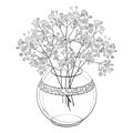 Vector bouquet of outline Gypsophila or Baby`s breath flower bunch and bud in round vase in black isolated on white background.