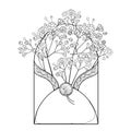 Vector bouquet of outline Gypsophila or Baby`s breath flower bunch and bud in open craft envelope in black isolated on white. Royalty Free Stock Photo