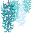 Vector hanging bunch of outline Strongylodon flower or Jade vine in pastel turquoise colored isolated on white background.