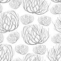 Vector seamless pattern with rolling desert plant Tumbleweed in black on the white background. Dry weed round bush Tumbleweed. Royalty Free Stock Photo