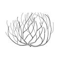 Vector Rolling Desert Plant Tumbleweed In Black Isolated On White Background. Dry Weed Round Bush Tumbleweed In Contour Style.
