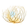 Vector rolling desert plant Tumbleweed in brown and beige isolated on white background. Dry weed round bush Tumbleweed. Royalty Free Stock Photo