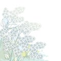 Vector corner branch with outline blossom Prunus padus or Bird cherry flower bunch with bud and leaf in pastel green on the white. Royalty Free Stock Photo