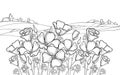 Vector outline California poppy flower or Eschscholzia, leaf and bud in black on the white background with field and sky.