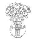 Vector bouquet of outline California poppy flower or California sunlight or Eschscholzia, leaf and bud in black round vase.