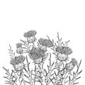 Vector thickets of outline welted Thistle or Carduus plant, spiny leaf, bud and flower bunch in black isolated on white. Royalty Free Stock Photo