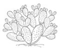 Vector bush of outline Indian fig Opuntia or prickly pear cactus, fruit and spiny stem in black isolated on white background. Royalty Free Stock Photo