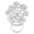 Vector bouquet with outline Geranium or Cranesbills flower bunch and ornate leaf in flowerpot in black isolated on white. Royalty Free Stock Photo