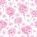 Vector seamless pattern with outline pastel pink Geranium or Cranesbills flower bunch and bud on the white background.