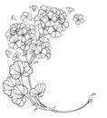 Vector round bouquet with outline Geranium or Cranesbills flower bunch and ornate leaf in black isolated on white background.