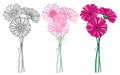 Vector set of bouquet with outline three Gerbera or Gerber flower in pastel pink and black isolated on white background.