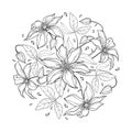 Vector round bouquet with outline Clematis or Traveller`s joy ornate flower bunch, bud and leaves in black isolated on white.