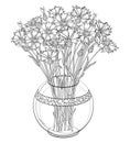 Vector bouquet of outline Cornflower or Knapweed flower, bud and leaf in round vase in black isolated on white background.