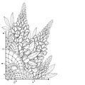 Vector corner bouquet with outline Lupin or Lupine or Bluebonnet flower bunch, bud and ornate leaf in black isolated on white.