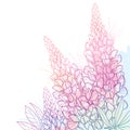 Vector corner bouquet of outline Lupin or Lupine or Bluebonnet flower bunch, bud and ornate leaf in pastel pink isolated on white.