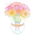 Vector bouquet of outline Gerbera or Gerber flower in round vase in pastel pink and orange isolated on white background. Royalty Free Stock Photo