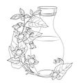 Vector corner bunch with outline toxic Atropa belladonna or deadly nightshade flower, berry, leaf and bottle in black isolated. Royalty Free Stock Photo