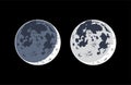 Realistic moon earthshine vector Royalty Free Stock Photo