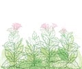 Vector field with outline toxic Tobacco plant or Nicotiana flower bunch, bud and leaf in pastel green on the white background. Royalty Free Stock Photo