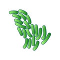 Propionibacterium icon Royalty Free Stock Photo