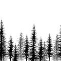 Vector seamless pattern with dotted spruce tree or coniferous forest in black on the white background.