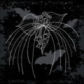 Vector outline tropical Tacca chantrieri or black Bat flower or devil plant and bud in white on the black background.