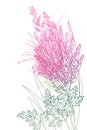 Vector corner bouquet with outline Astilbe or Astilba or false spirea flower bunch and leaf in pastel pink isolated on white. Royalty Free Stock Photo