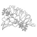 Vector bouquet of outline Freesia flower, ornate bud and leaves in black isolated on white background.