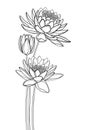 Vector bouquet of outline ornate Lotos or water lily flower and bud in black isolated on white background.