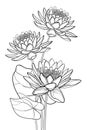 Vector bouquet of outline ornate Lotos or water lily flower and leaf in black isolated on white background.