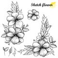 Vector set of hand drawn sketch of open flower bunch with bud and leaves in black isolated on white background. Royalty Free Stock Photo