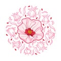 Vector round bunch of outline Roselle or Hibiscus sabdariffa or carcade plant with fruit and flower in pink isolated. Royalty Free Stock Photo