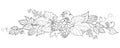 Vector bunch of outline Hop with leaf and ornate cones in black isolated on white background. Horizontal border of contour Hops. Royalty Free Stock Photo