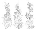 Vector set with vertical bunch of outline Hop with leaf, cones and flower in black isolated on white background. Royalty Free Stock Photo