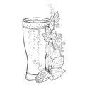 Vector beer glass with outline Hop or Humulus leaf and ornate cone in black isolated on white background. Contour hops foliage.