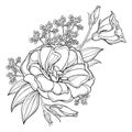 Vector bouquet with outline Eustoma or Lisianthus flower and bud in black isolated on white background.