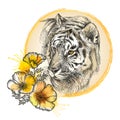 Vector hand-drawn graphic sketch of Siberian or Amur tiger head and orange flowers isolated on white background. Royalty Free Stock Photo